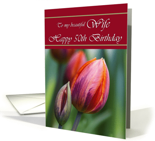 Wife / Happy 50th Birthday - Colorful Tulip Silhouettes card (1322874)