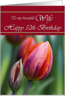 Wife / Happy 50th Birthday - Colorful Tulip Silhouettes card