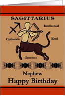 Nephew / Sagittarius Birthday - General - Zodiac Sign / The Archer card