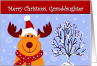 Granddaughter / Merry Christmas - Reindeer in a Santa Hat card