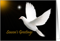 Season’s Greetings - General - White Dove card
