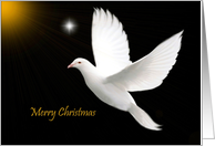 Merry Christmas - General - White Dove card