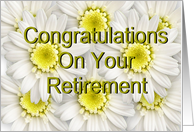 Congratulations on Your Retirement - White Daisies / Yellow Centers card