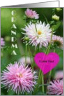 Grandma I Love You / Happy Grandparent’s Day card