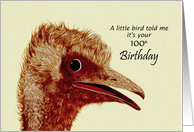 100th Birthday - Ostrich / Humorous card