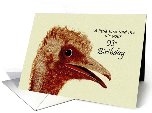 93rd Birthday / Ostrich / Humorous card (619049)