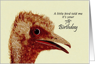 78th Birthday / Ostrich / Humorous card