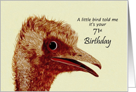 71st Birthday - Ostrich / Humorous card