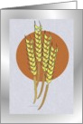 Blank Card / Notes ~ General ~ Autumn Harvest Wheat card