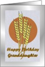 Birthday ~ Granddaughter ~ Autumn Harvest Wheat card