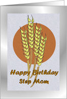 Birthday ~ Step Mom ...