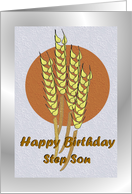 Birthday ~ Step Son ~ Autumn Harvest Wheat card