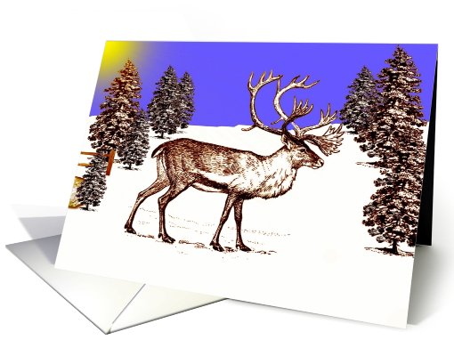 Blank Card ~ General ~ Caribou In A Clearing card (785934)