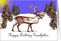 Happy Birthday ~ Grandfather ~ Caribou In A Clearing card