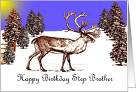 Happy Birthday ~ Step Brother ~ Caribou In A Clearing card
