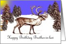 Happy Birthday ~ Brother-in-law ~ Caribou In A Clearing card