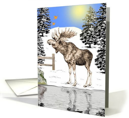 Blank Card / Notes ~ General ~ Moose By The Pond card (786029)