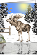 Blank Card / Notes ~ General ~ Moose By The Pond card