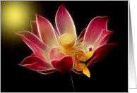Blank Card / Note Card ~ General ~ Elegant Lotus & Butterfly card