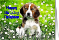 Happy Birthday ~ Neighbor ~ Daisy May in a field of flowers card