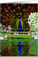 Blank Card / Note Card ~ General ~ Peacock By The Pond card