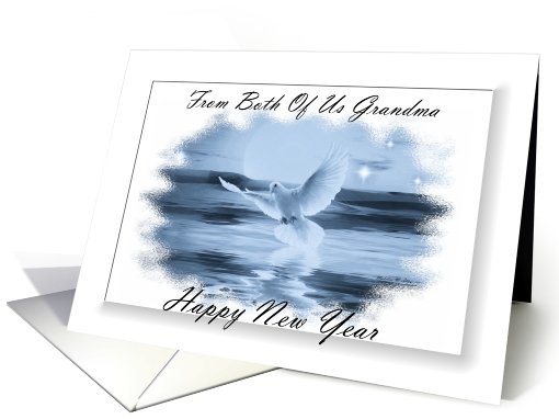 Happy New Year ~ From Both Of Us Grandma ~ Dove Flying... (830090)