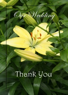 Thank You ~ Wedding...