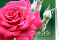 Thank You ~ Wedding Gift ~ Pink Rose / Flowers card