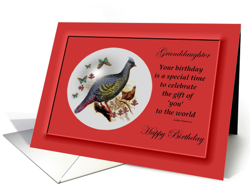 Granddaughter / Birthday ~ Pheasant and Butterflies in a Bubble card