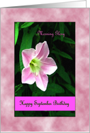 September Birthday - September Birth Flower, Morning Glory card