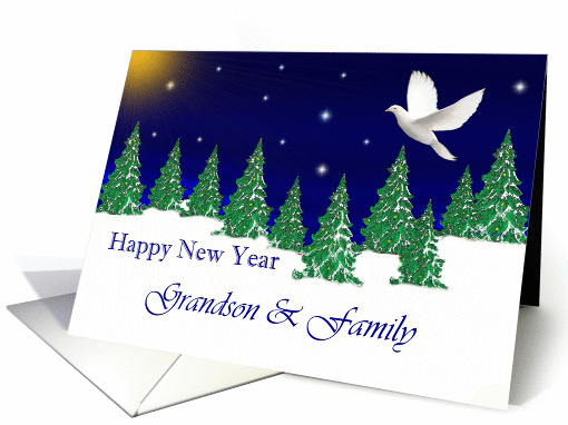 Grandson & Family - Happy New Year - Peace Dove card (993363)