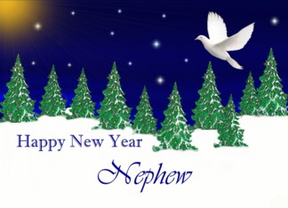 Nephew - Happy New Year - Peace Dove