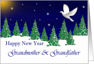 Grandmother & Grandfather - Happy New Year - Peace Dove card