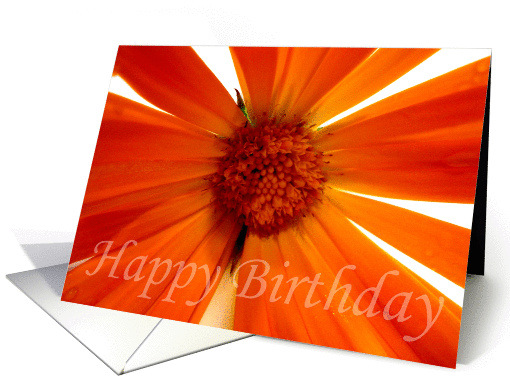 Yellow Flower - Happy Birthday card (270269)
