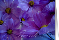 Purple Flowers - Thank you card