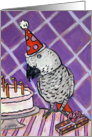 African Grey Parrot Birthday Party card