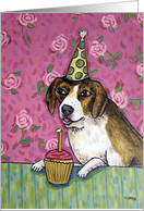 beagle Birthday