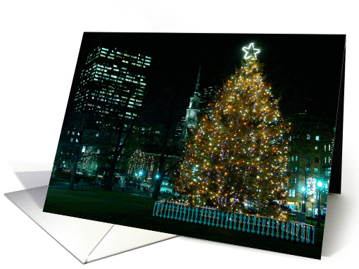 Blank Inside - Christmas Tree in Boston Common card (260810)