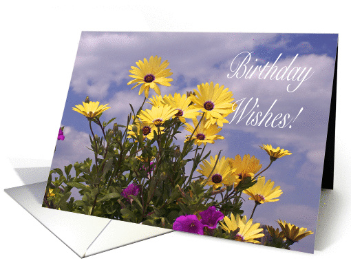 Birthday Wishes! card (364819)