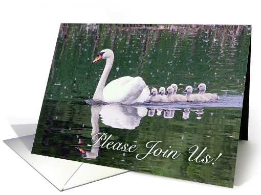 Please Join Us! card (364839)