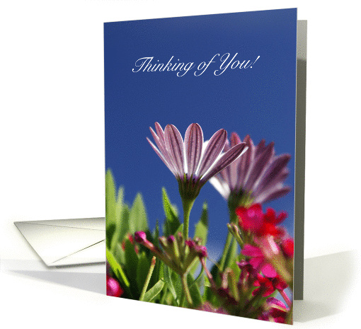 Thinking Of You! card (364847)