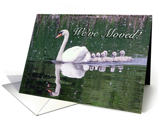 We've Moved! card (364859)