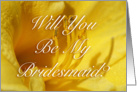 Will You Be My Bridesmaid? card