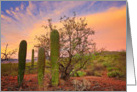 Pink Desert Sky, Blank Note card