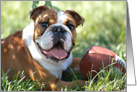 ENGLISH BULLDOG GUNNER FOOTBALL, Happy Birthday card