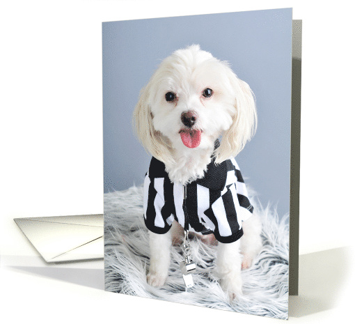 Referee Pancho, Birthday card (1305940)