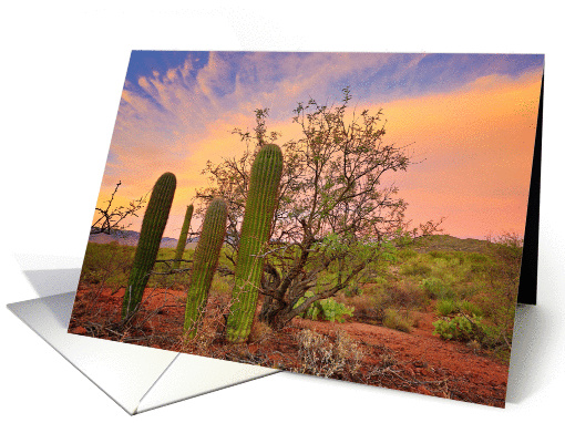 Pink Desert Sky, Blank Note card (1306140)
