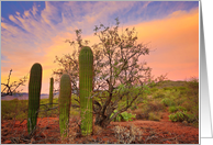 Pink Desert Sky, Blank Note card