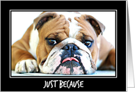 ENGLISH BULLDOG GUNNER, just because I love you card