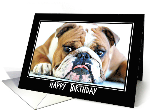 ENGLISH BULLDOG GUNNER, Happy Birthday card (958209)